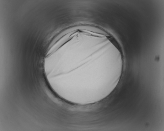 X0000115810009200912241924