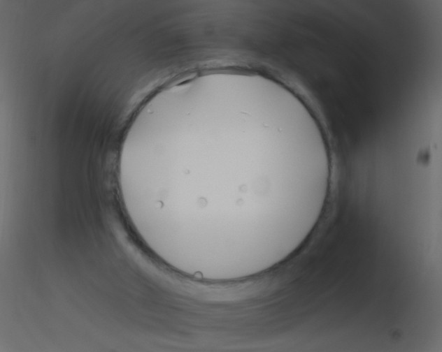 X0000115810010200912241924
