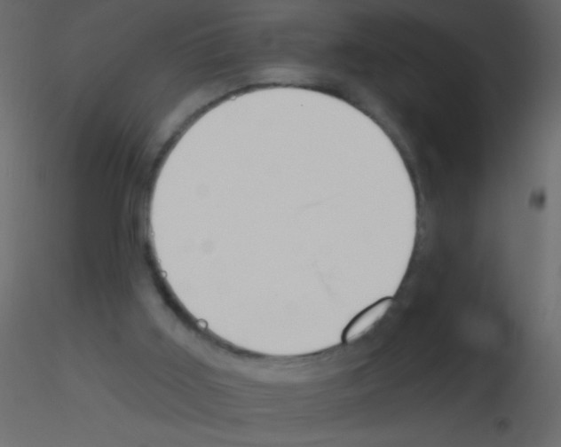 X0000115810011200912241924