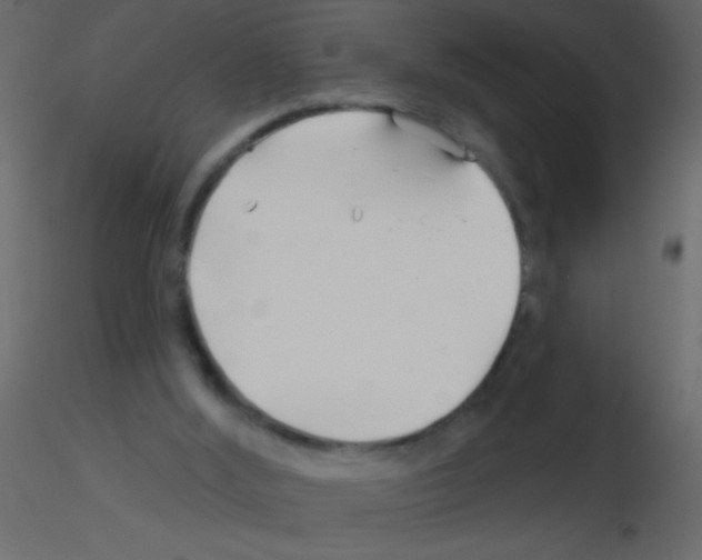 X0000115810012200912241924