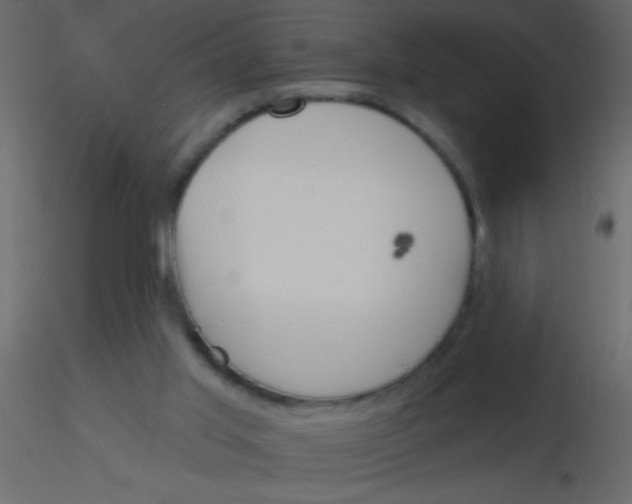 X0000115810013200912241923