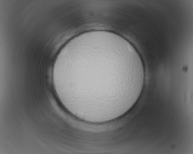 X0000115810014200912241923