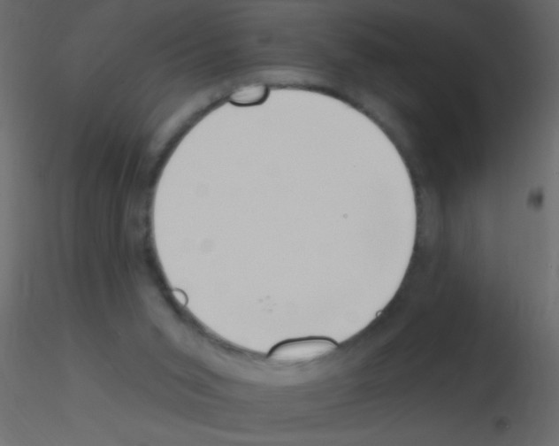 X0000115810015200912241923