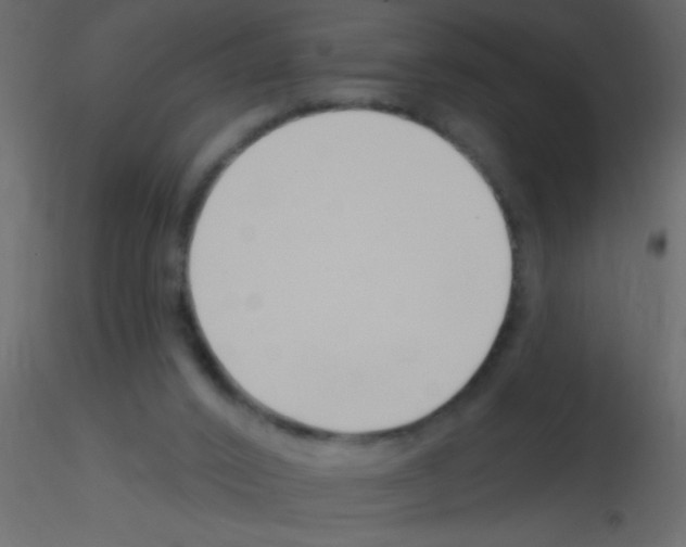 X0000115810016200912241923