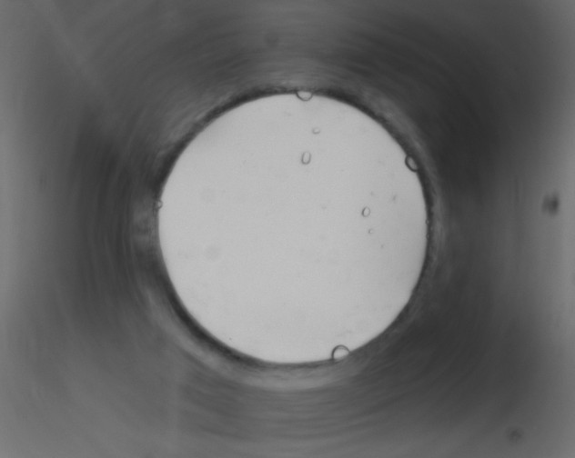 X0000115810017200912241923