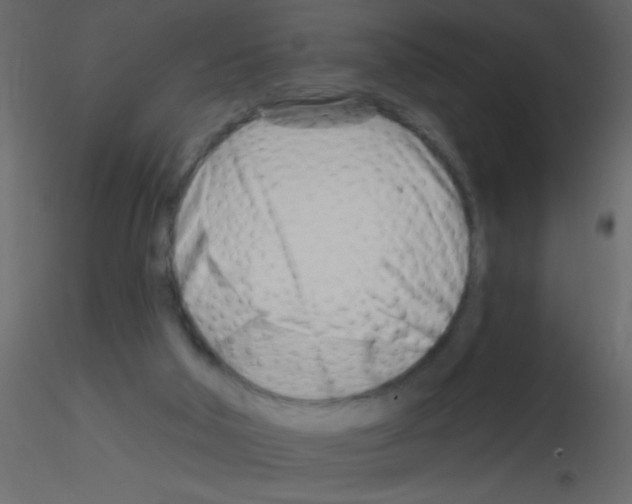 X0000115810018200912241923
