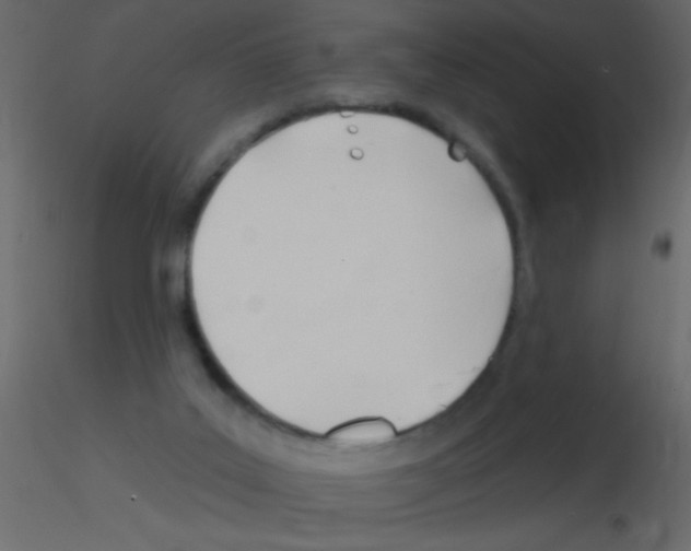 X0000115810019200912241923
