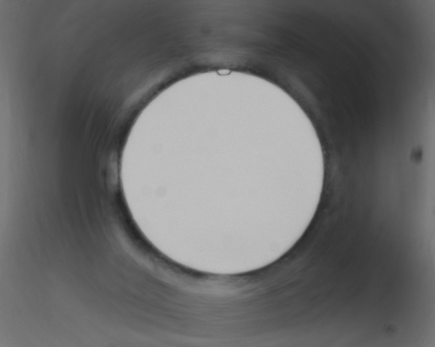 X0000115810020200912241923