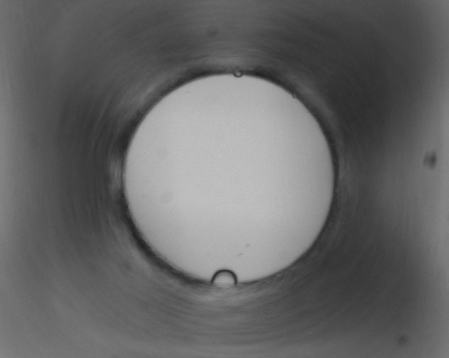 X0000115810021200912241923
