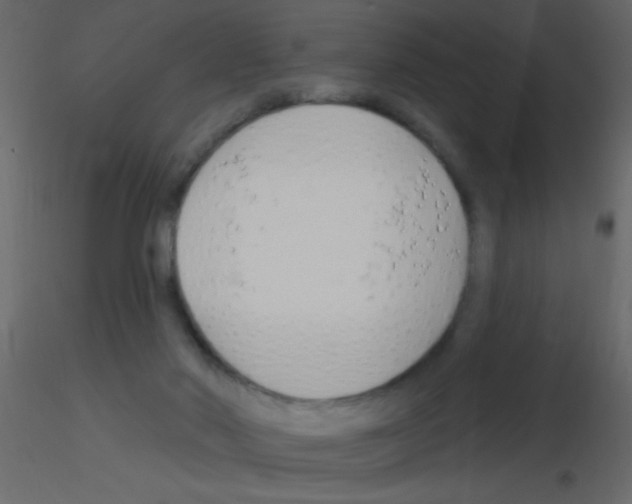 X0000115810022200912241923