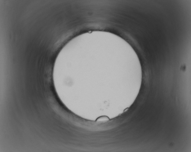 X0000115810023200912241923