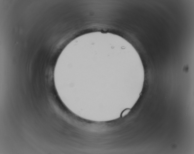 X0000115810024200912241923