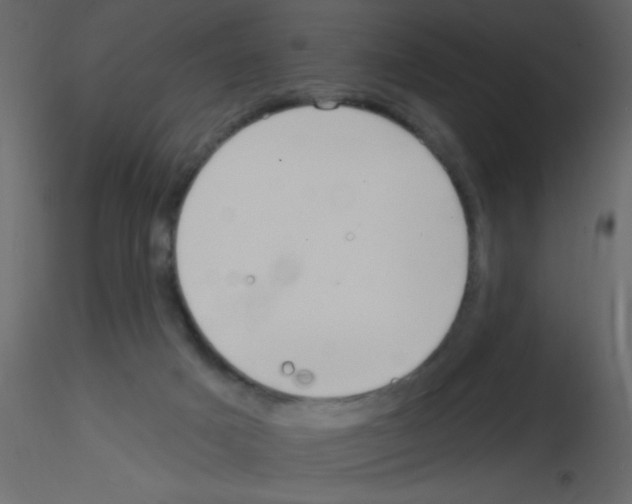 X0000115810025200912241923