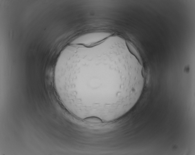 X0000115810026200912241923