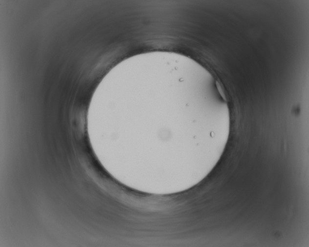 X0000115810028200912241923