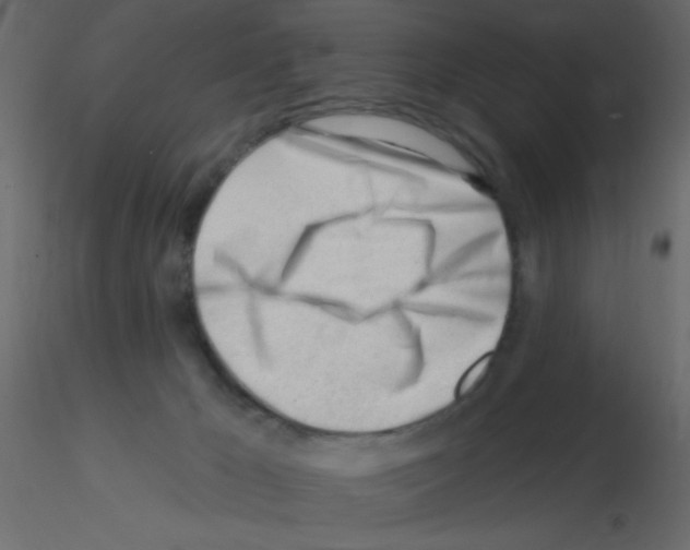 X0000115810029200912241923