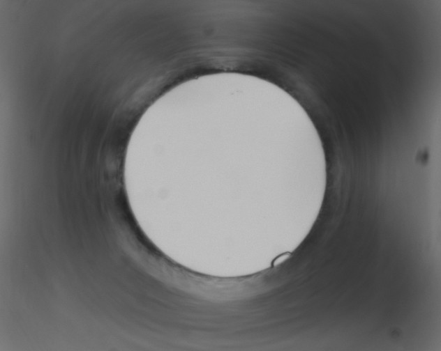X0000115810031200912241923