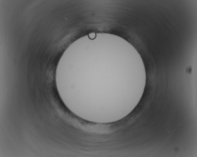 X0000115810032200912241923