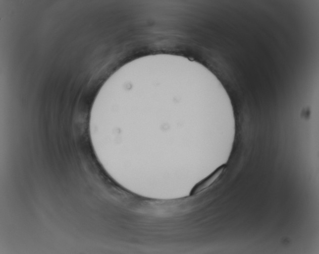 X0000115810033200912241923