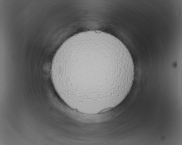 X0000115810034200912241923