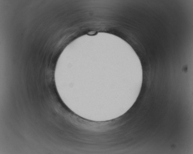 X0000115810035200912241923