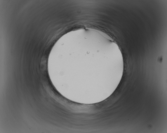 X0000115810036200912241923