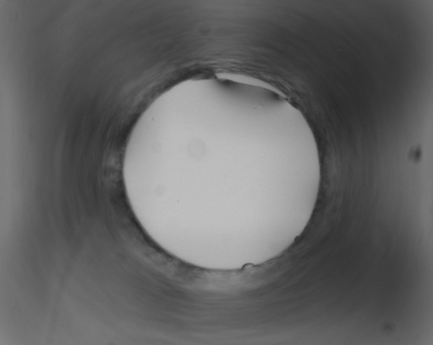 X0000115810037200912241923