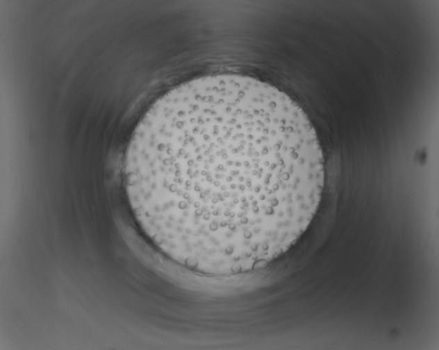 X0000115810038200912241923