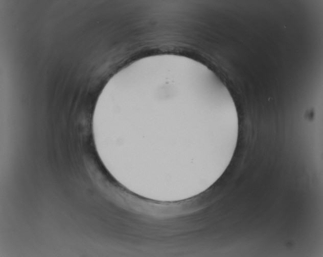 X0000115810039200912241923