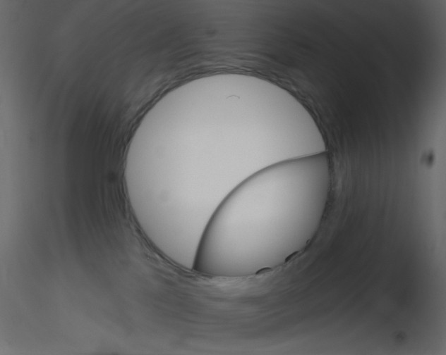 X0000115810041200912241923