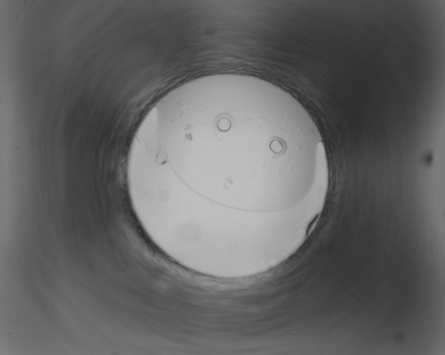 X0000115810043200912241923