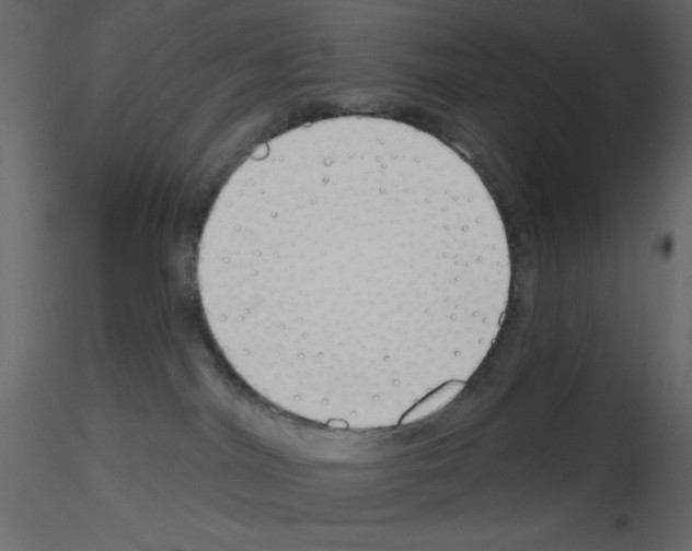 X0000115810044200912241923