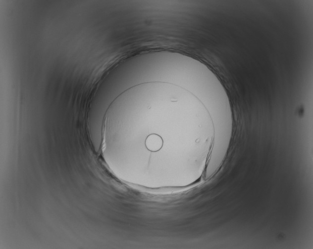 X0000115810045200912241923