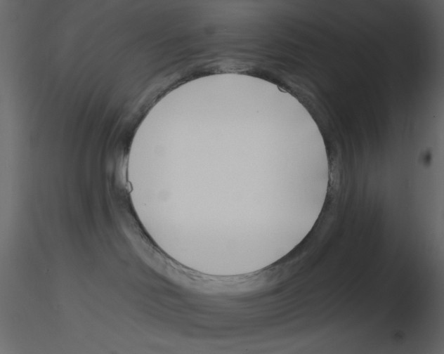 X0000115810046200912241923