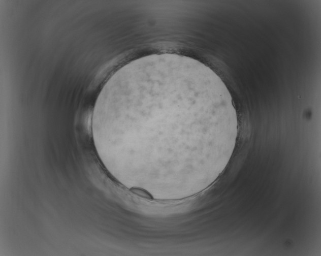 X0000115810047200912241923