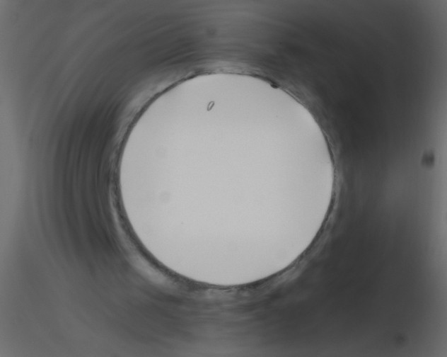 X0000115810049200912241922