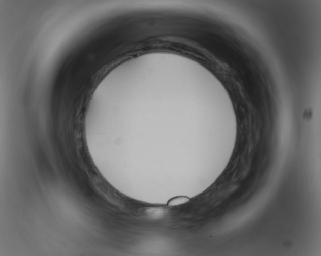 X0000115810050200912241922