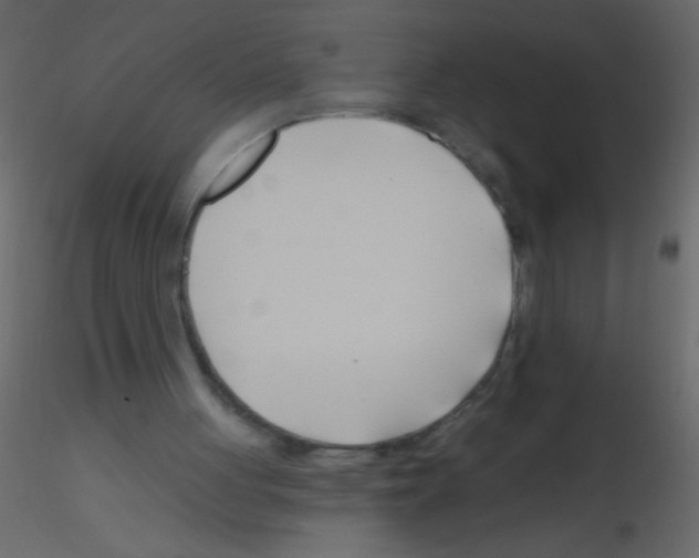 X0000115810051200912241922