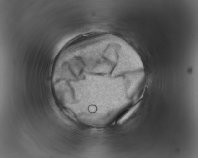 X0000115810052200912241922