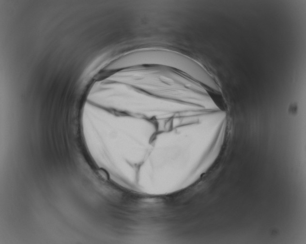 X0000115810053200912241922