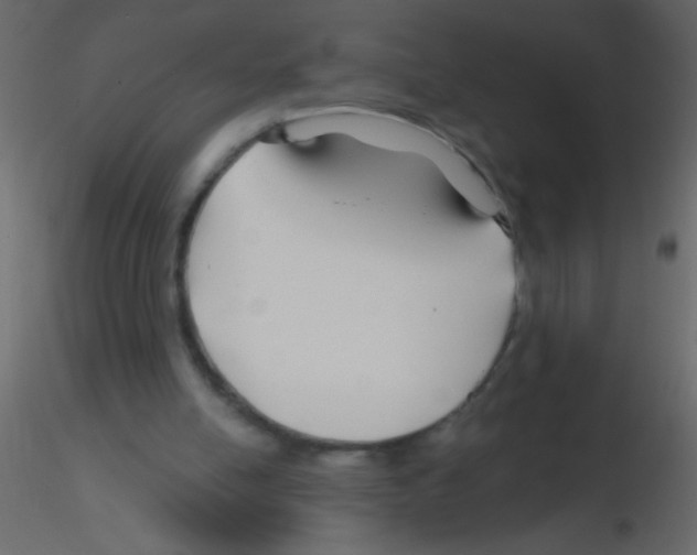 X0000115810054200912241922