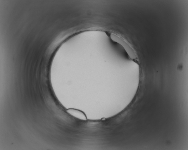 X0000115810055200912241922