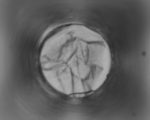 X0000115810056200912241922
