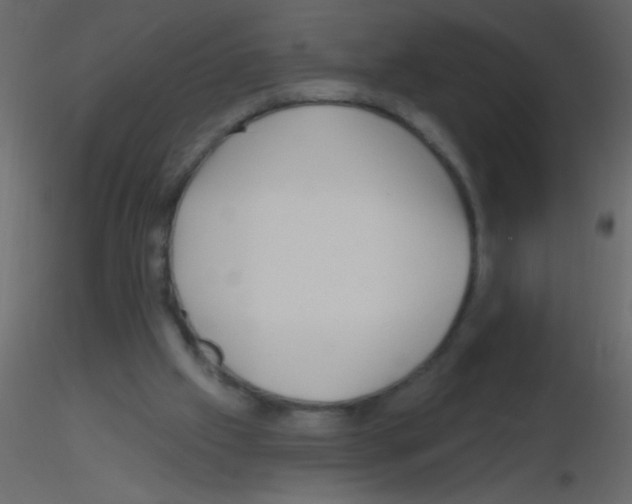 X0000115810057200912241922