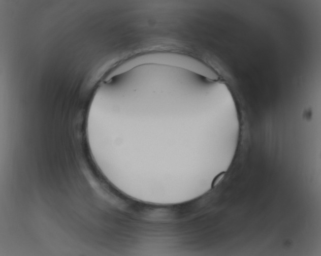 X0000115810058200912241922