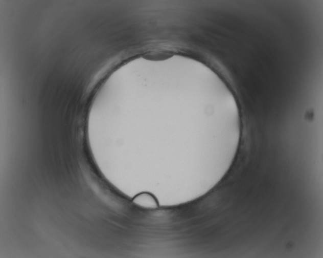 X0000115810059200912241923