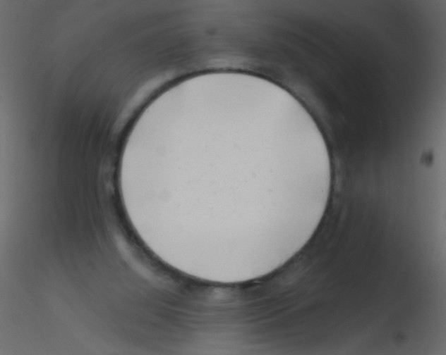 X0000115810060200912241923
