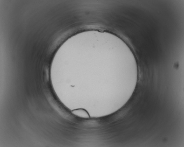 X0000115810061200912241923