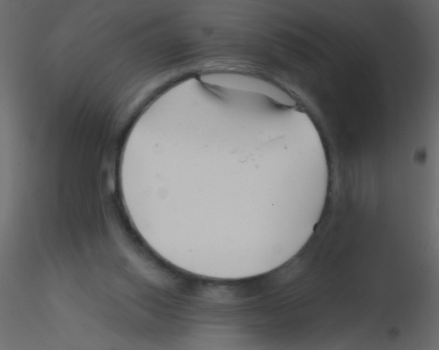 X0000115810062200912241923