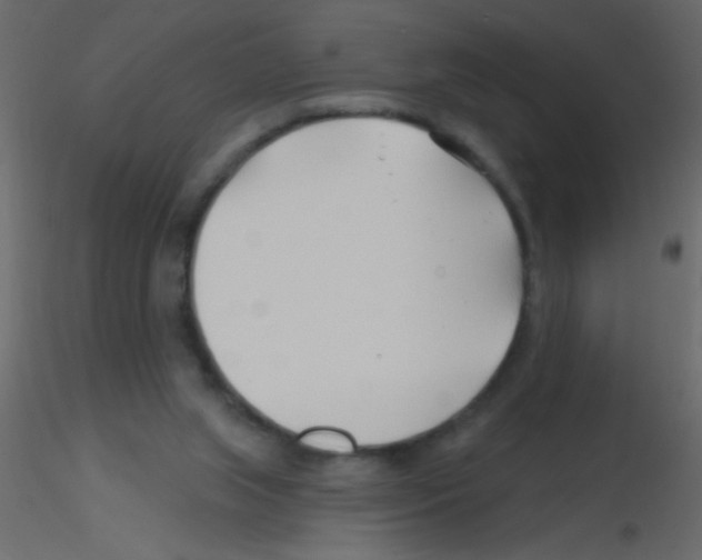X0000115810063200912241923